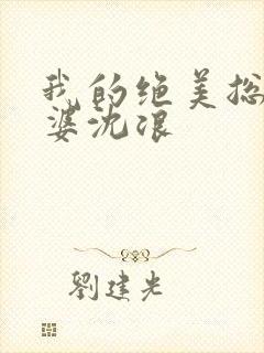 我的绝美总裁老婆沈浪封面