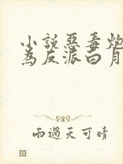 小说恶毒炮灰成为反派白月光免费看封面