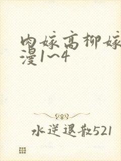 肉嫁高柳嫁家动漫1~4