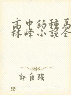 高中的种马校草林峰小说全文免费阅