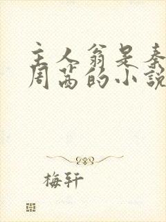 主人翁是秦峰和周茜的小说