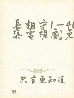 长相守1—40集电视剧免费观看在线封面