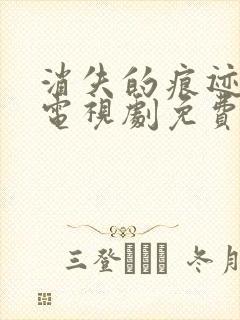 消失的痕迹在线电视剧免费