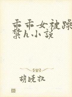 乖乖女被躁到失禁h小说封面