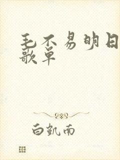 毛不易明日之子歌单