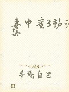 妻中蜜3动漫全集