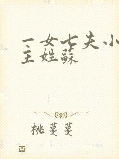 一女七夫小说女主姓苏