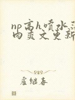 np高h喷水荡肉爽文更新时间