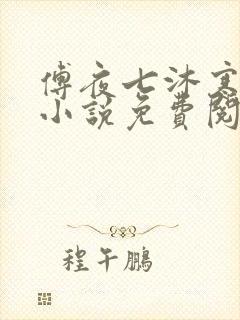 傅夜七沐寒声的小说免费阅读