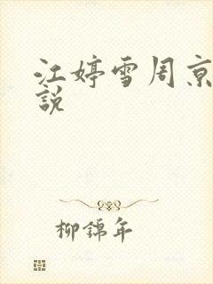 江婷雪周京河小说