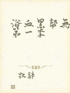 浴血黑帮无删减第一季