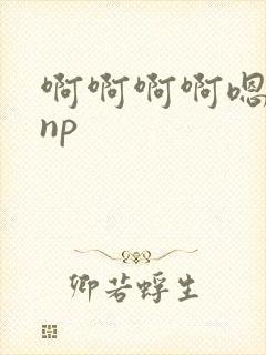 啊啊啊啊嗯嗯嗯np