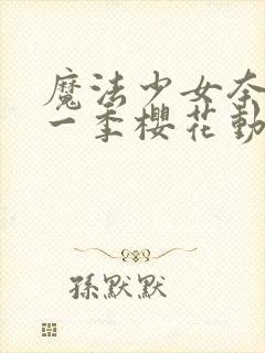 魔法少女奈叶第一季樱花动漫