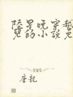 陆星晚穿越成婴儿的小说免费阅读全文