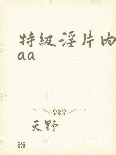 特级淫片内射aaa