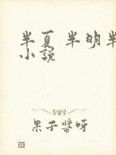 半夏 半明半寐小说