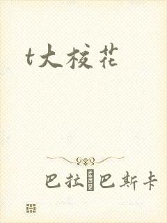 t大校花
