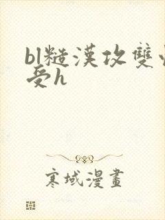 bl糙汉攻双性受h