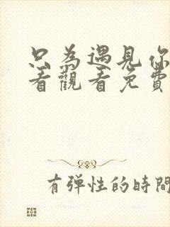 只为遇见你在线看观看免费完整版