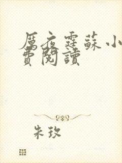 厉夜霆苏小汐免费阅读封面