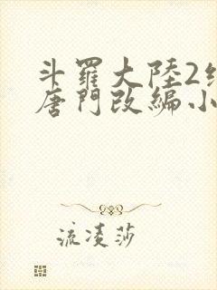 斗罗大陆2绝世唐门改编小说