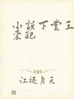 小说下堂王妃逆袭记