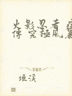 火影忍者 疾风传 究极风暴2下载