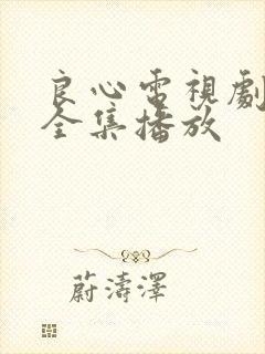 良心电视剧免费全集播放封面