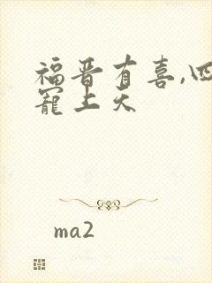 福晋有喜,四爷宠上天