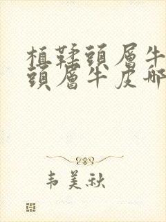 植鞣头层牛皮和头层牛皮哪个好