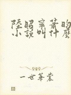 陆昭宁萧昀正版小说叫什么名字