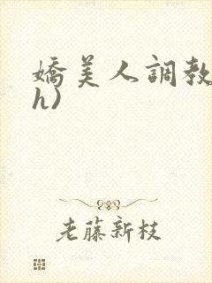 娇美人调教录(h)