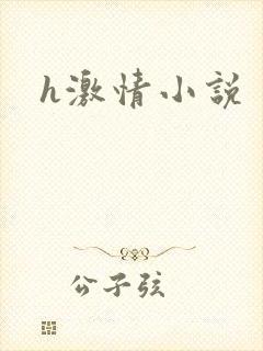 h激情小说