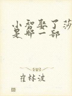 小智娶了莎莉娜是哪一部