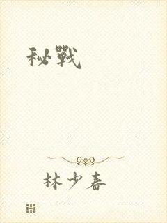 秘战封面