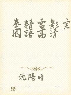 拳精电影完整版国语高清封面