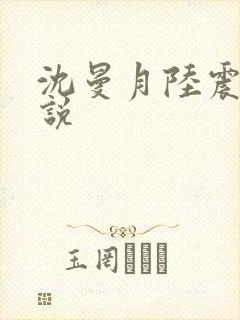 沈曼月陆震霆小说