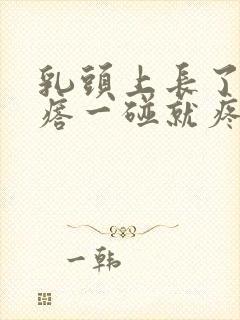 乳头上长了小疙瘩一碰就疼