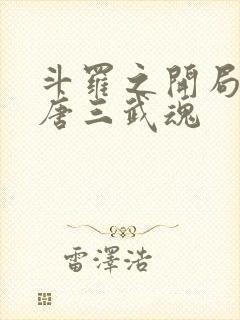 斗罗之开局揭露唐三武魂