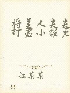 将美人夫夫一网打尽小说免费阅读