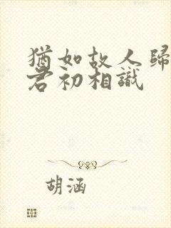 犹如故人归,与君初相识