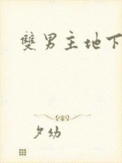 双男主地下偶像