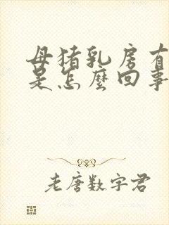 母猪乳房有红点是怎么回事封面