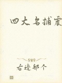 四大名捕震关东封面