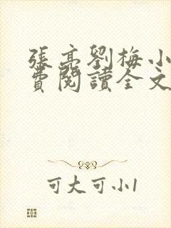 张亮刘梅小说免费阅读全文