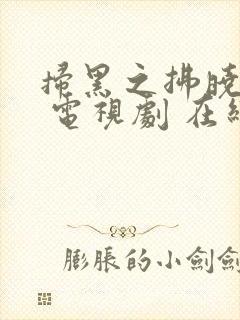 扫黑之拂晓行动 电视剧 在线观看封面