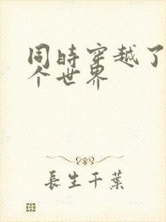 同时穿越了99个世界封面