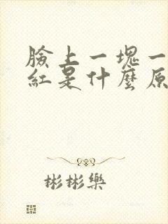 脸上一块一块的红是什么原因