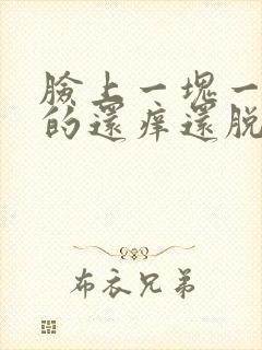 脸上一块一块红的还痒还脱皮