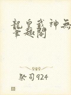 龙皇武神无弹窗笔趣阁封面